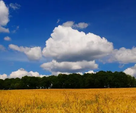 Apartmán Bei Pina - Schoene Dachgeschosswohnung Nahe Duesseldorf Solingen