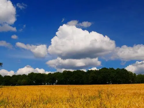 Διαμέρισμα Bei Pina - Schoene Dachgeschosswohnung Nahe Duesseldorf Σόλινγκεν